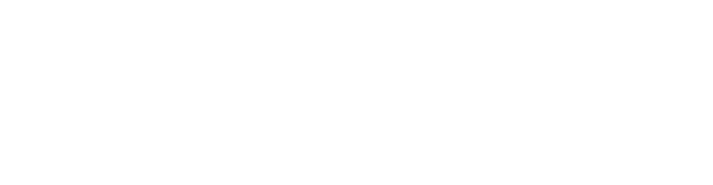 BEARFIX